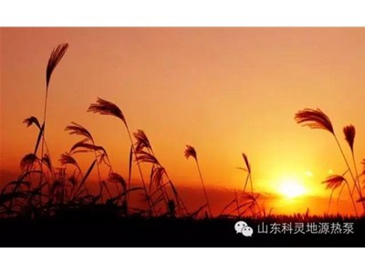 大愛初秋，醉美科靈