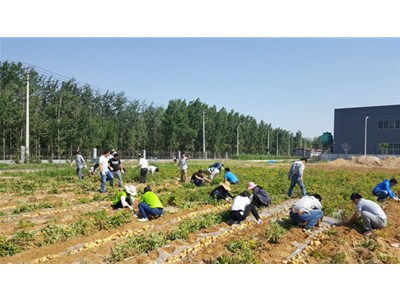 在這豐收喜悅的季節里，我們滿載而歸
